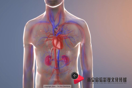 医疗医学三维动画